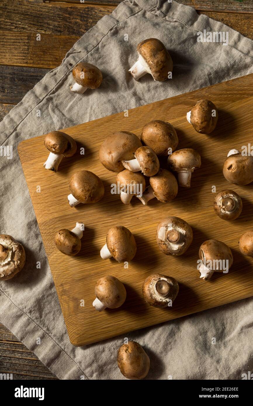 Raw Brown Organic Baby Bella Mushrooms Ready to Cook Stock Photo Alamy
