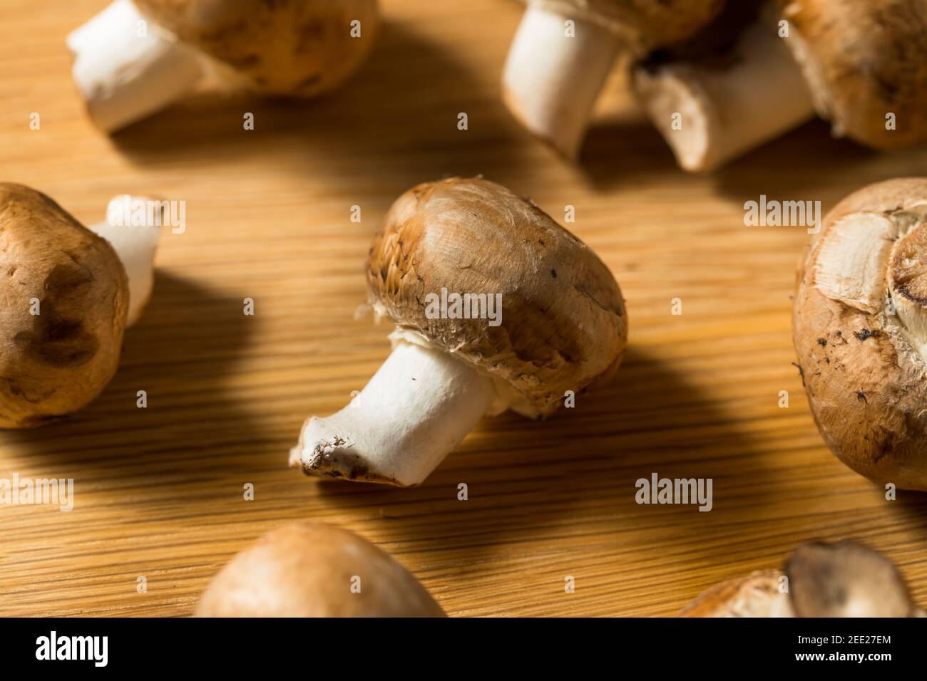 Raw Brown Organic Baby Bella Mushrooms Ready to Cook Stock Photo Alamy