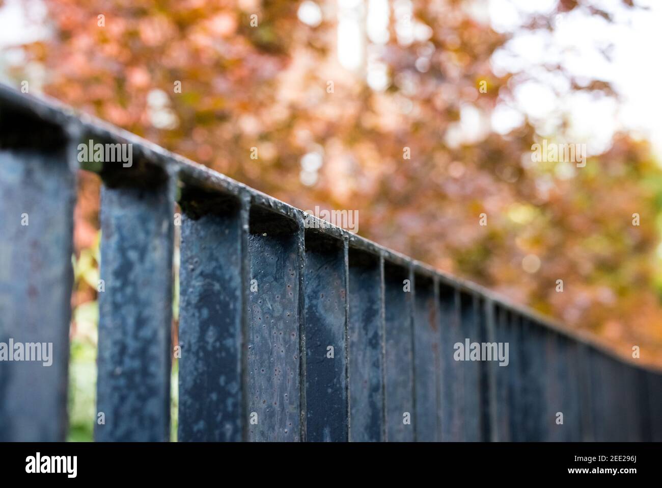 Black Steel Fence in Fall Autumn Stock Photo