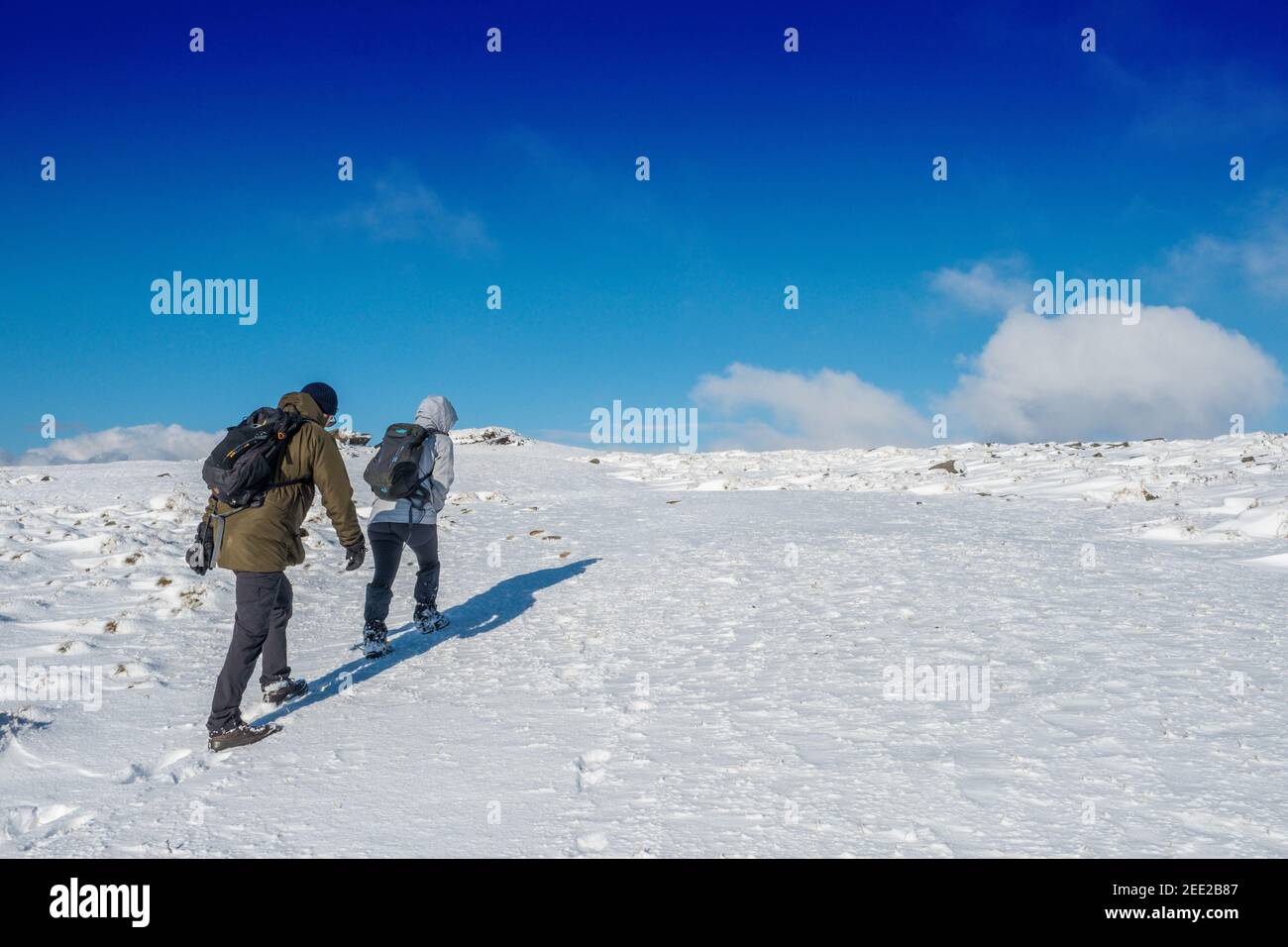 Walking on Kinder Scout in winter snow, Peak District National Park, UK Stock Photo
