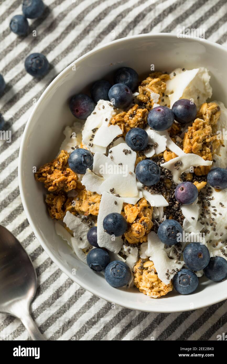 Healthy Homemade Ricotta Cheese Yogurt Bowl with Fruit and Granola