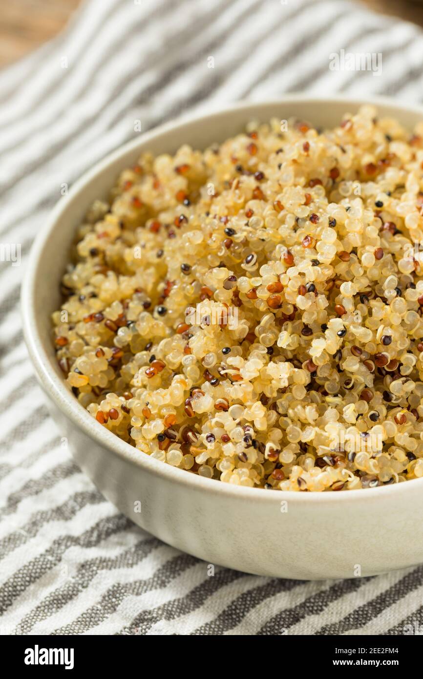 Healthy Cooked White Quinoa Ready to Eat Stock Photo Alamy
