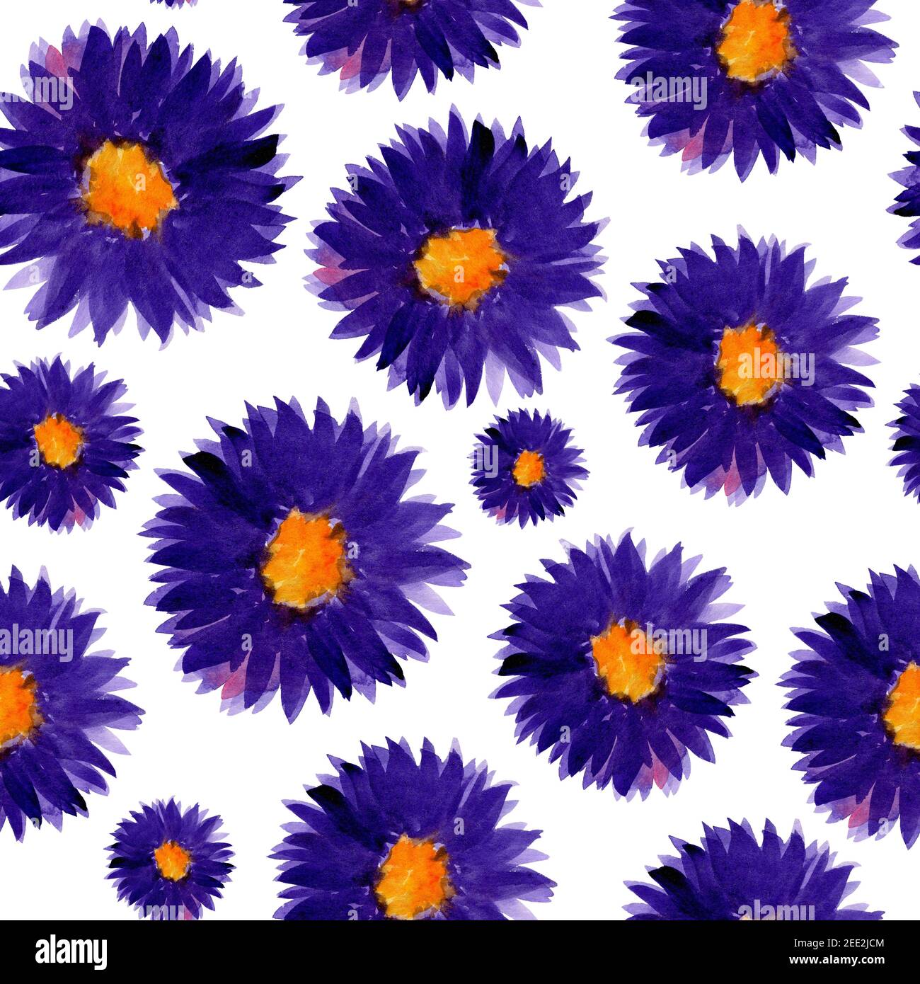Blue sunny aster flowers seamless pattern Stock Photo