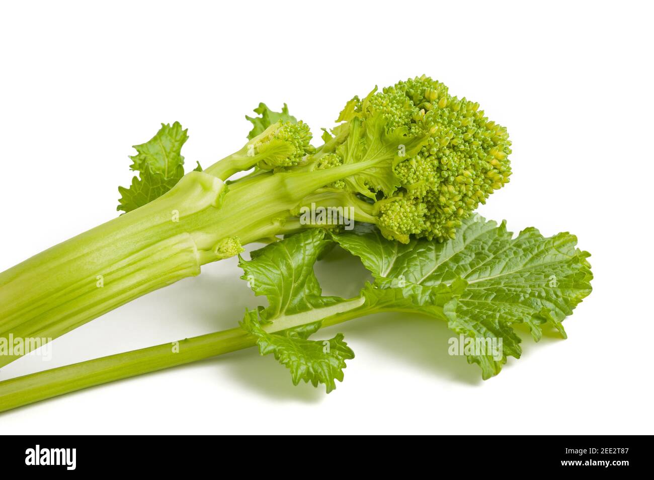 Fresh rapini or broccoli rabe isolated on white background Stock Photo