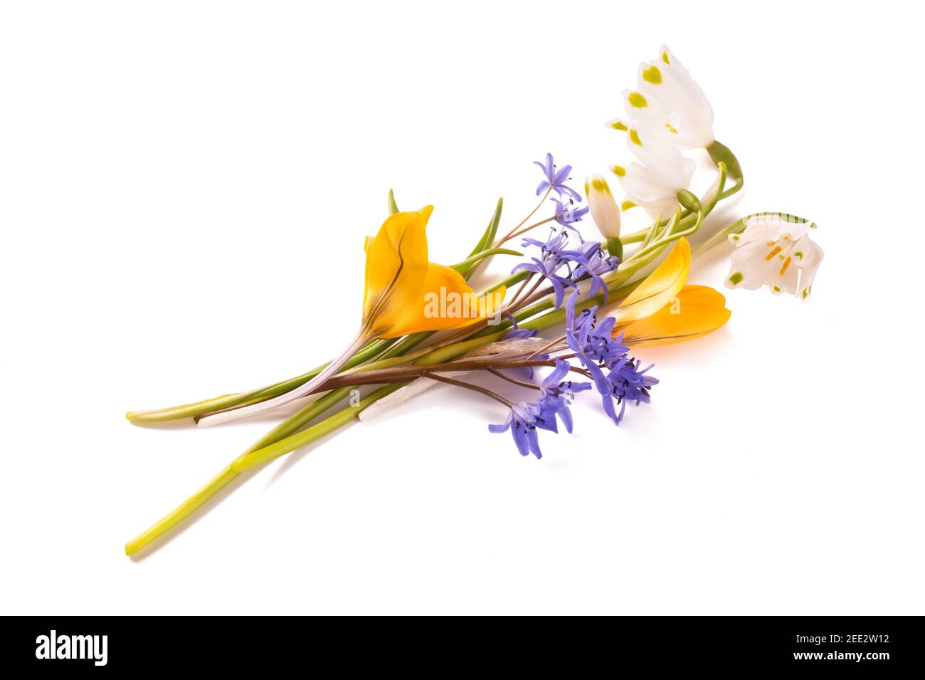 Flowers bunch isolated on white background Stock Photo