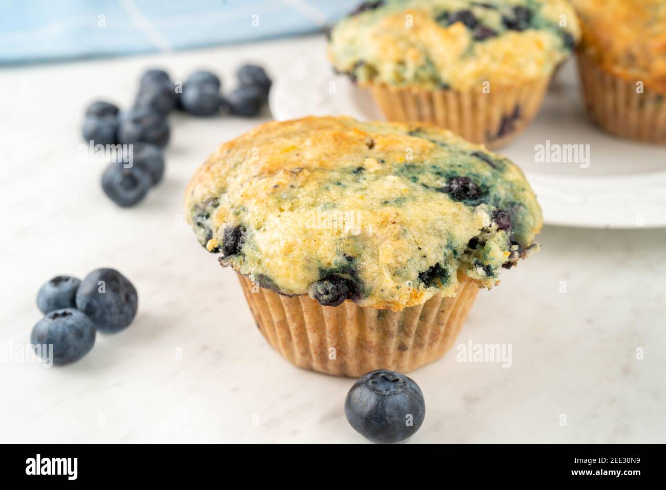 Homemade blueberry muffins freshly baked in the home kitchen. Stock Photo