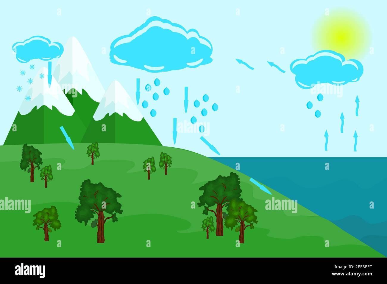 Water cycle in  circulation scheme with rain and snow  precipitation,cloud condensation,evaporation and  illustration  Stock Vector Image & Art - Alamy