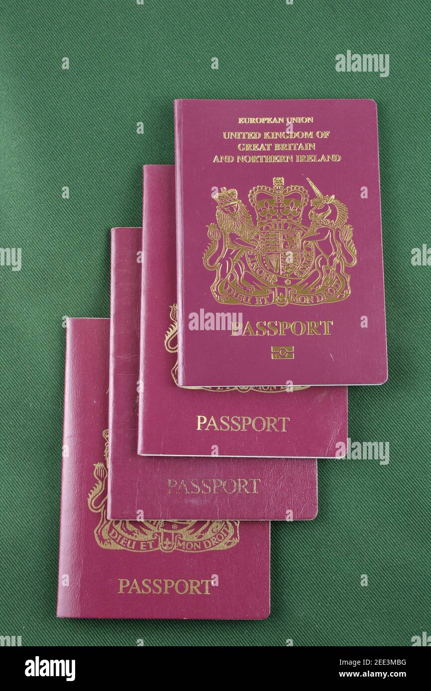 Four British passports isolated on a green background, family holiday concept Stock Photo