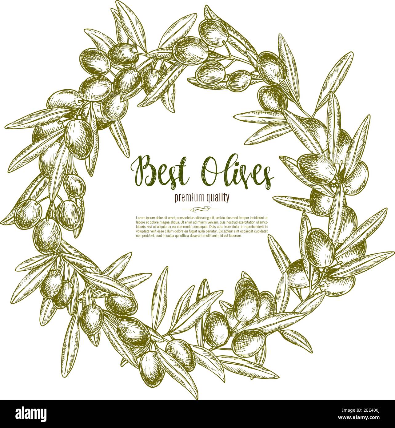 Green olive branches wreath vector poster for olive oil product or ...