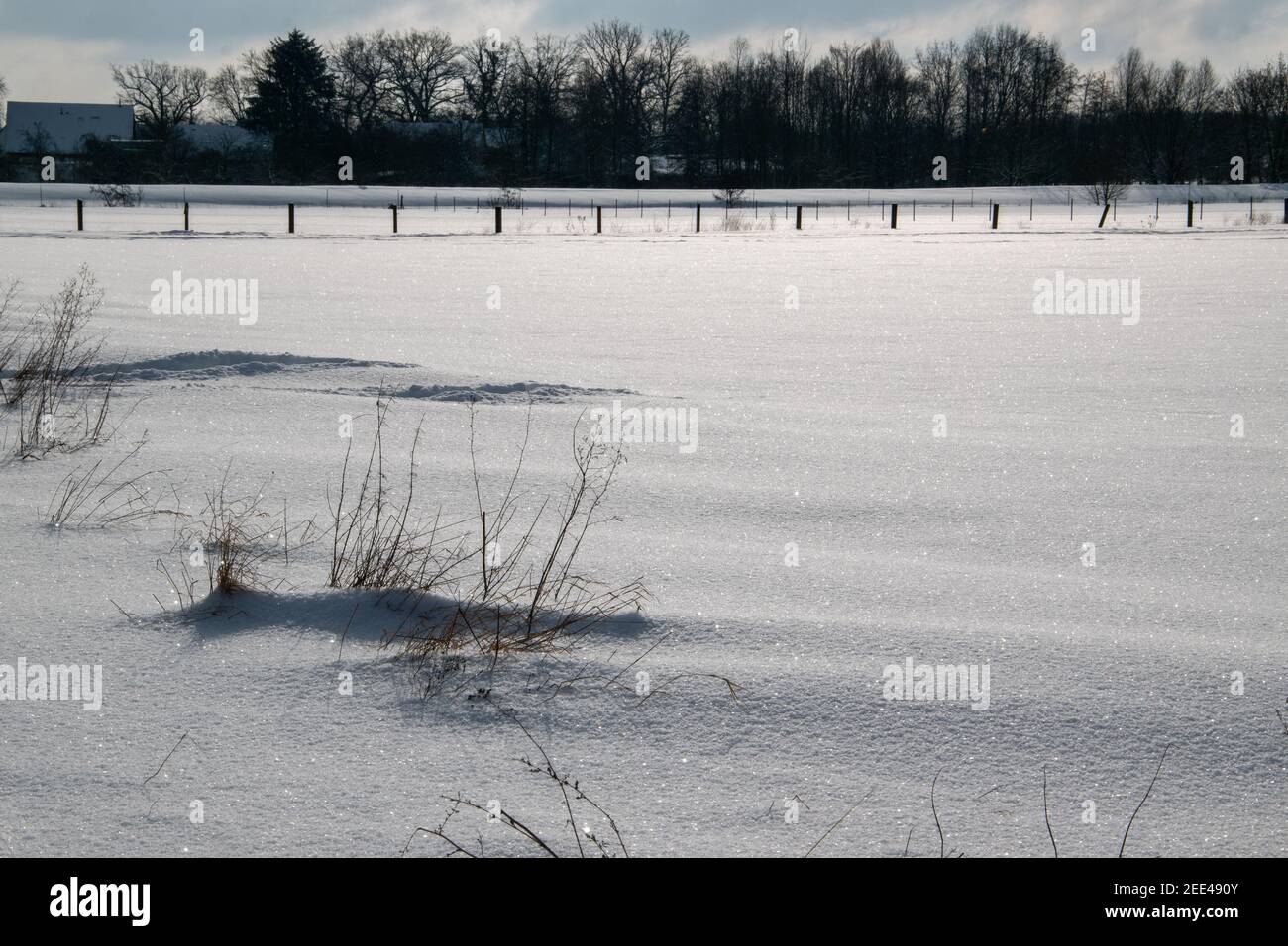 Onset of winter in Bünde. Everything is covered in deep snow. A fence is on the snowy pasture. Stock Photo