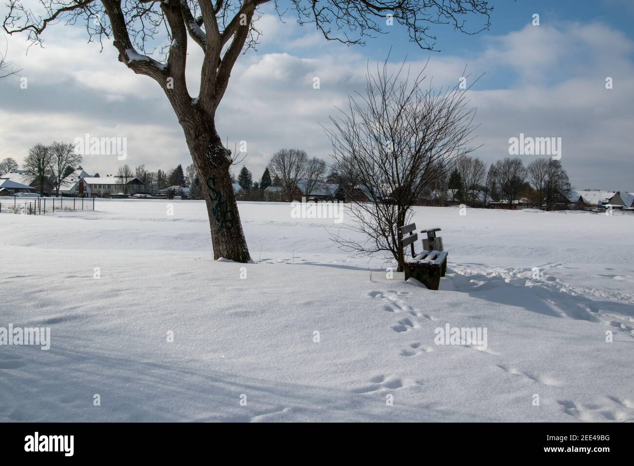 Onset of winter in Bünde. Everything is covered in deep snow. A wooden bench stands under the bare tree. Stock Photo