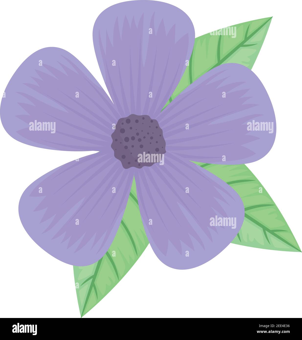 cute purple petals flower and leafs spring icon Stock Vector Image ...