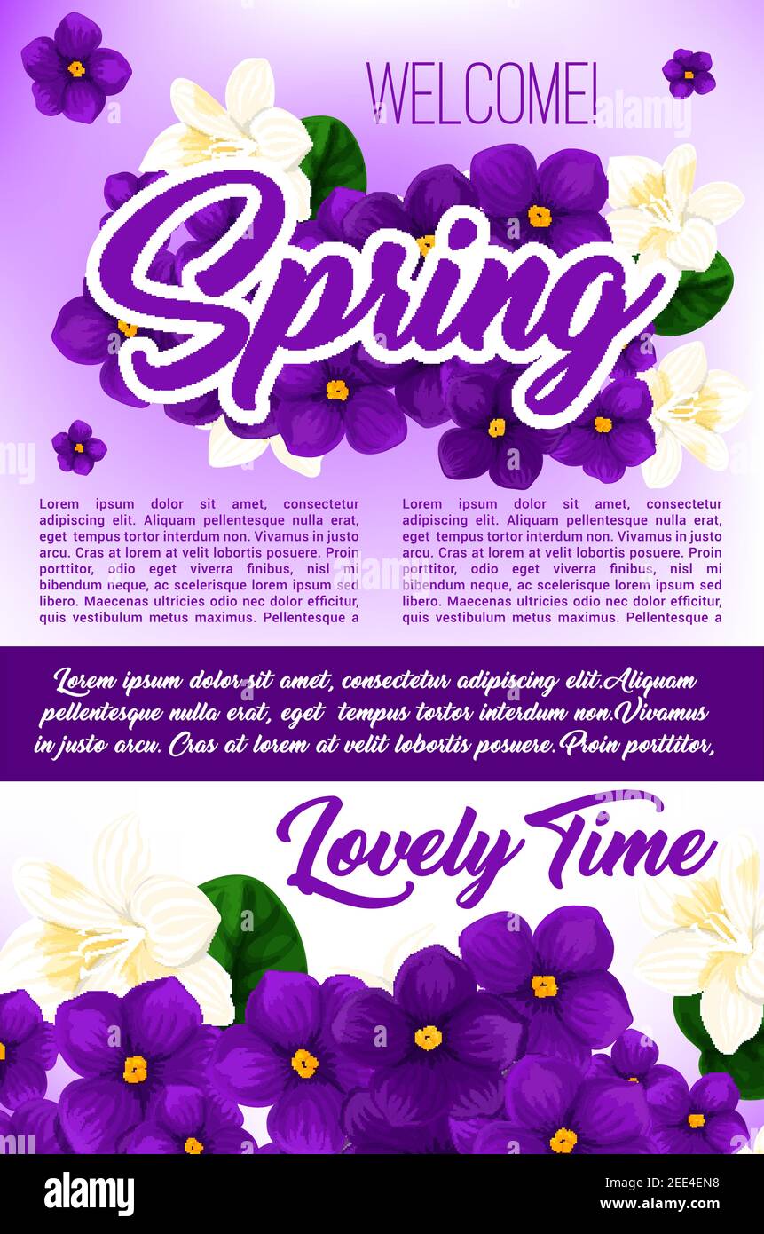 Spring season holidays floral poster template. Flower bunch of white crocus, violet and jasmine flowering branch with green leaves and text layout for Stock Vector