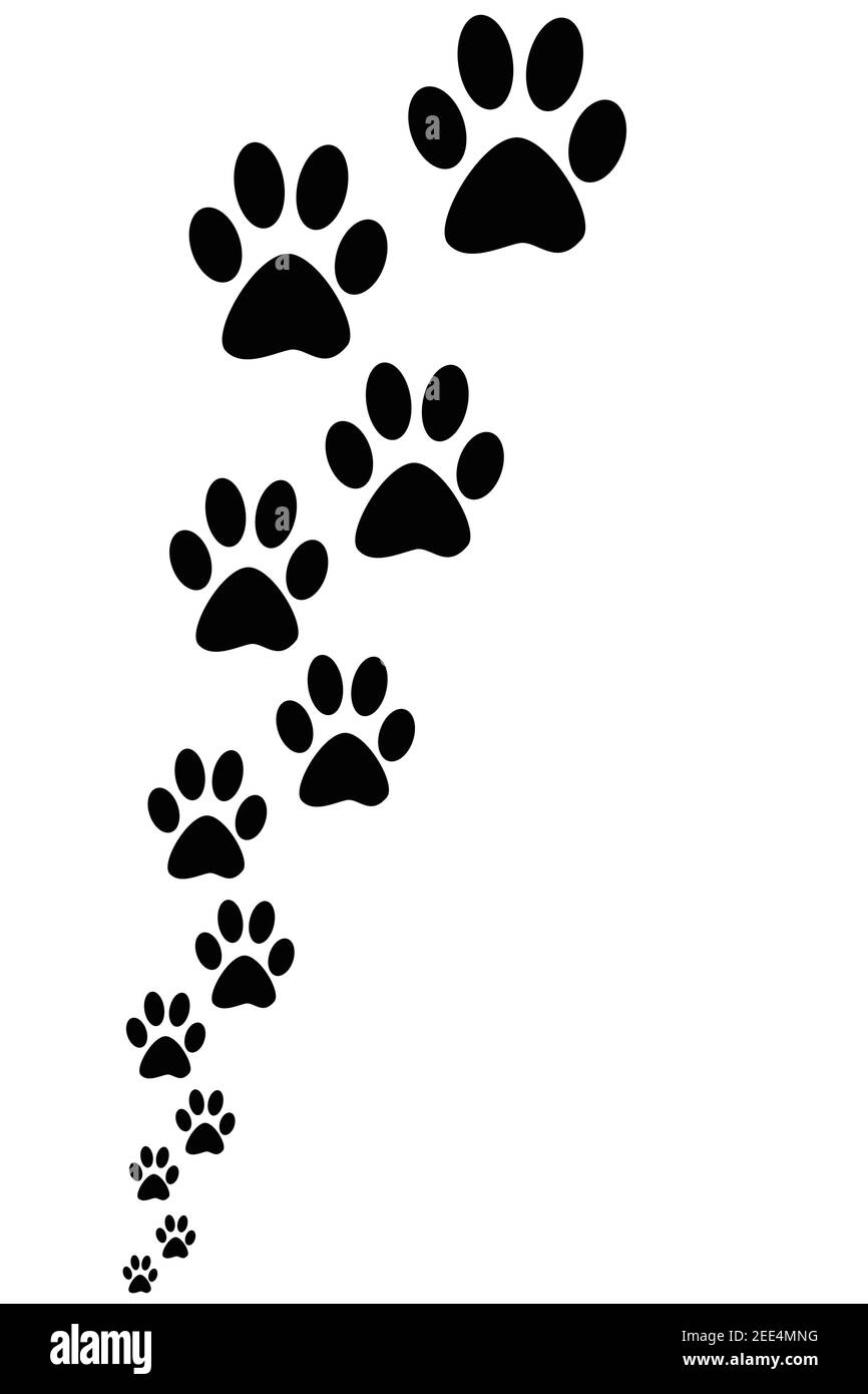 Black paw print on a white background Stock Photo