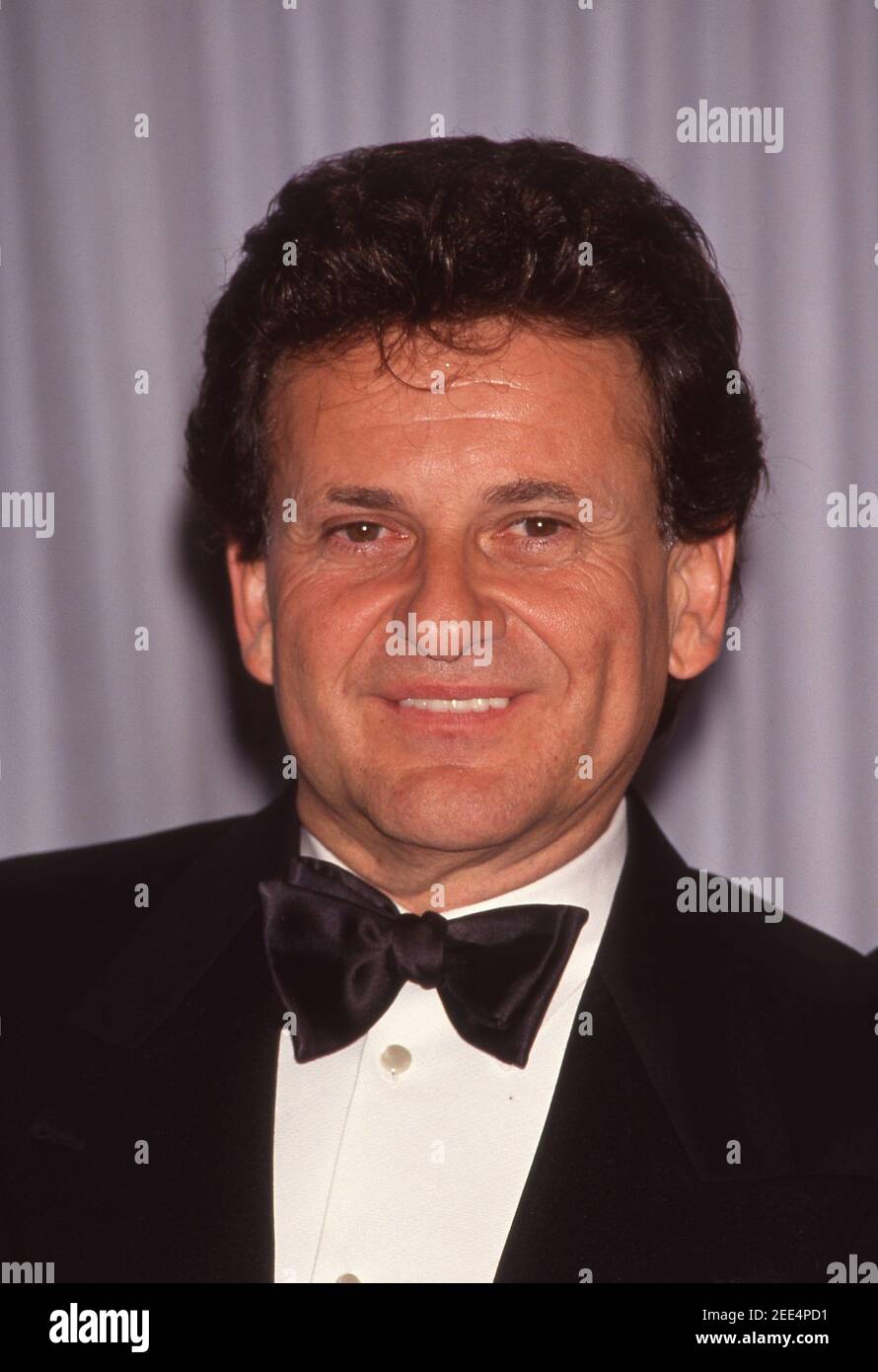 LOS ANGELES - MARCH 25: Actors Joe Pesci at the 63rd Annual Academy
