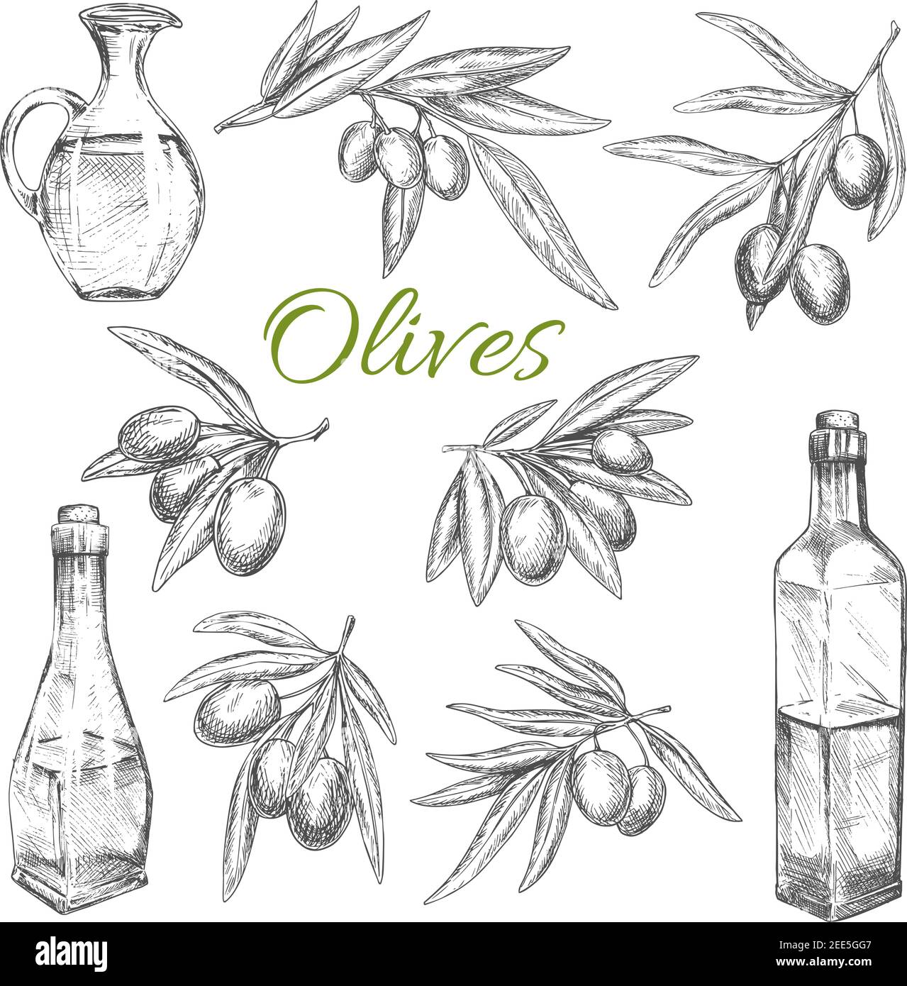 Olives sketch vector icons set of branches. Isolated symbol of olive ...