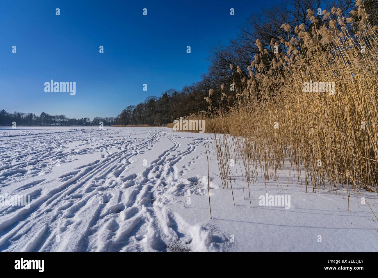 frozen rural lakeside Stock Photo