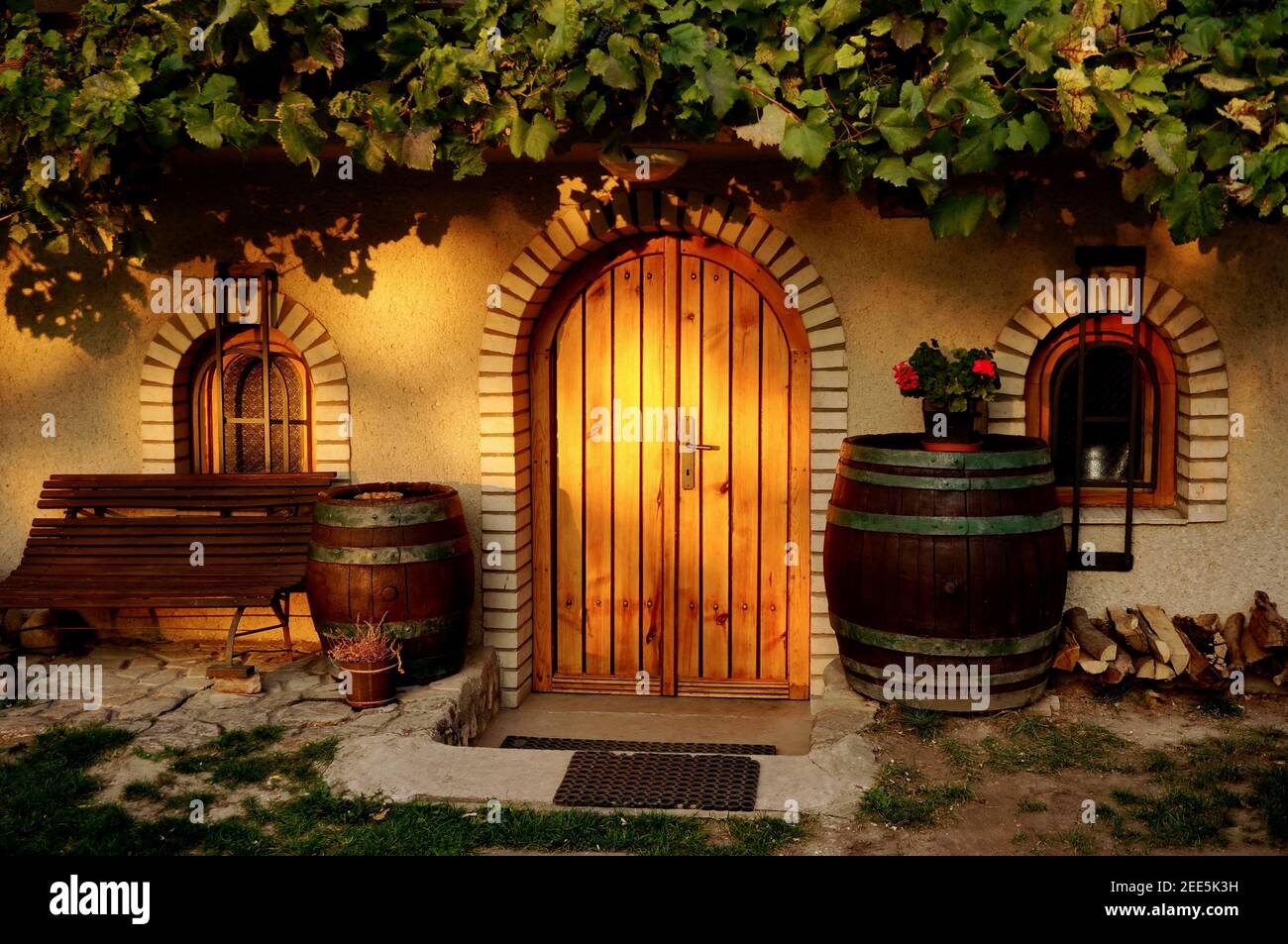Entrance of a traditional wine cellar with vine on the roof in Pálava region in a warm evening light - Czech republic, Europe Stock Photo
