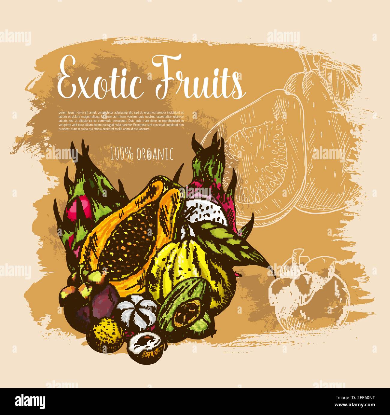 Exotic fruits poster. Vector harvest of papaya and mangosteen, tropical ...