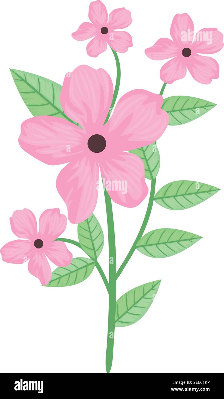 cute pink flowers and leafs spring icon Stock Vector Image & Art - Alamy