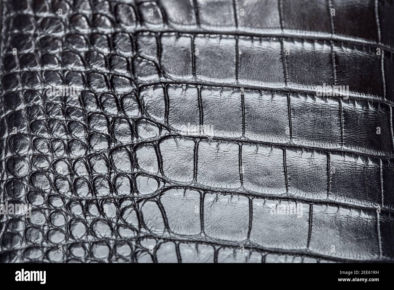 Black Crocodile Leather Texture