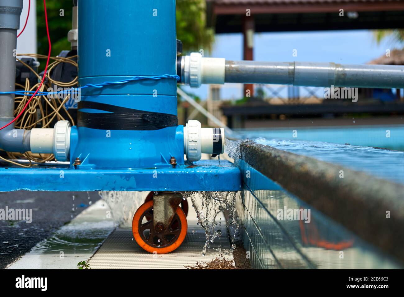 A filter pump cleans the pool water. Device for automatic cleaning of