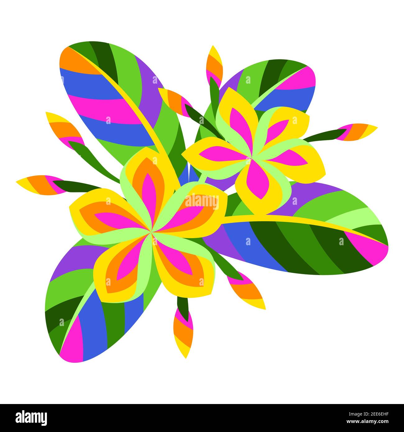 Illustration of stylized plumeria flower Stock Vector Image & Art Alamy