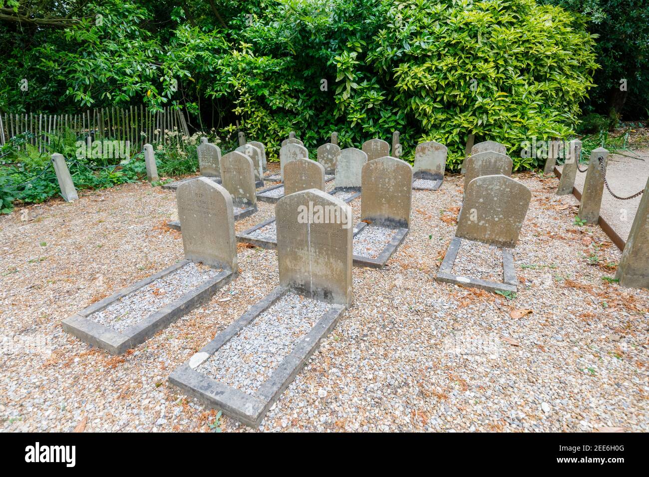 Pet cemetery with carved headstones for dogs at Polesden Lacey, Great Bookham, Surrey, south-east England Stock Photo