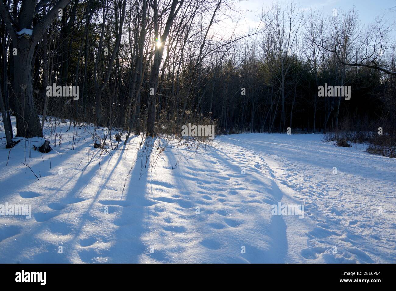 Winter landscape after a snow storm in winter Stock Photo