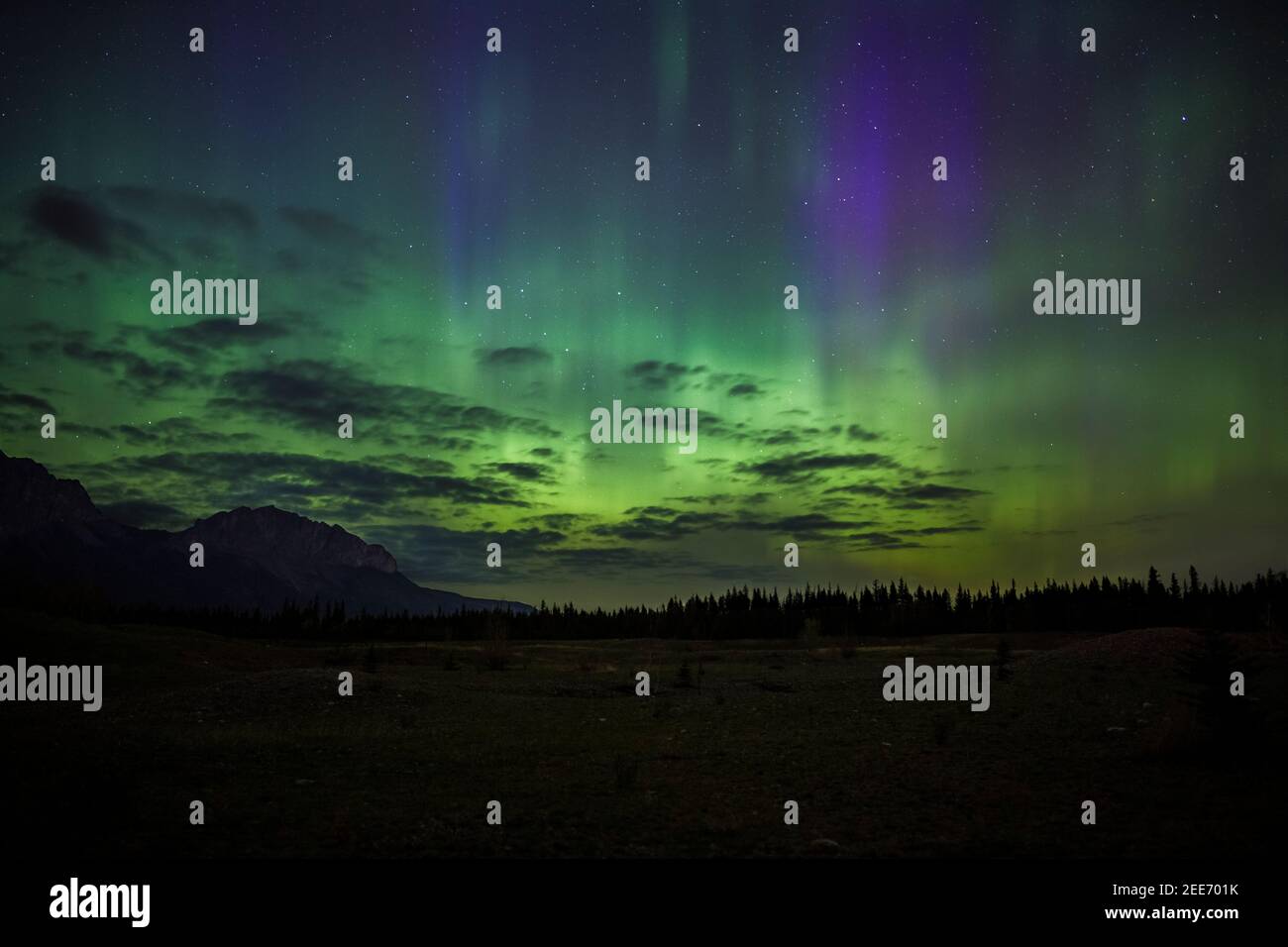Purple and green Aurora Borealis (Northern Lights) from the Canadian Rockies during a spring night Stock Photo