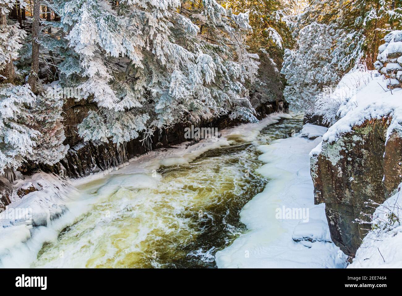 The Gut Conservation Area Crowe Valley Apsley Ontario Canada in winter