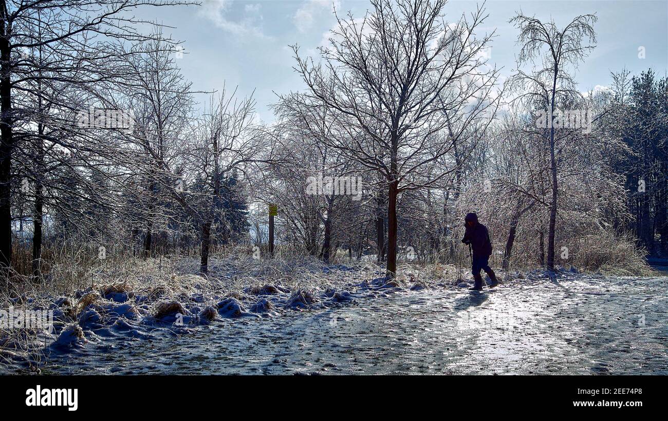 Man walking in the park after a freezing rain storm, severe weather. Stock Photo