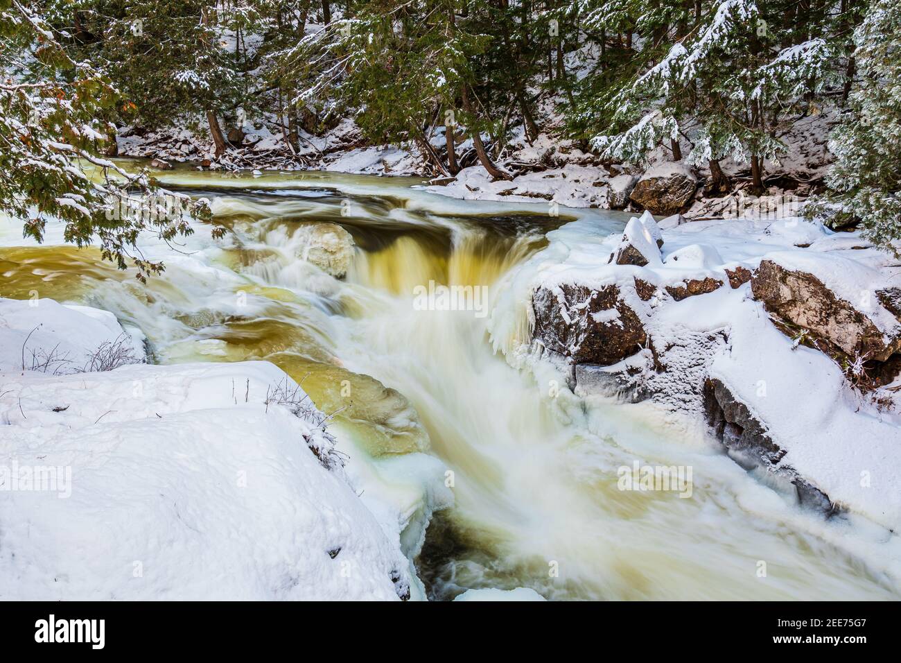 The Gut Conservation Area Crowe Valley Apsley Ontario Canada in winter