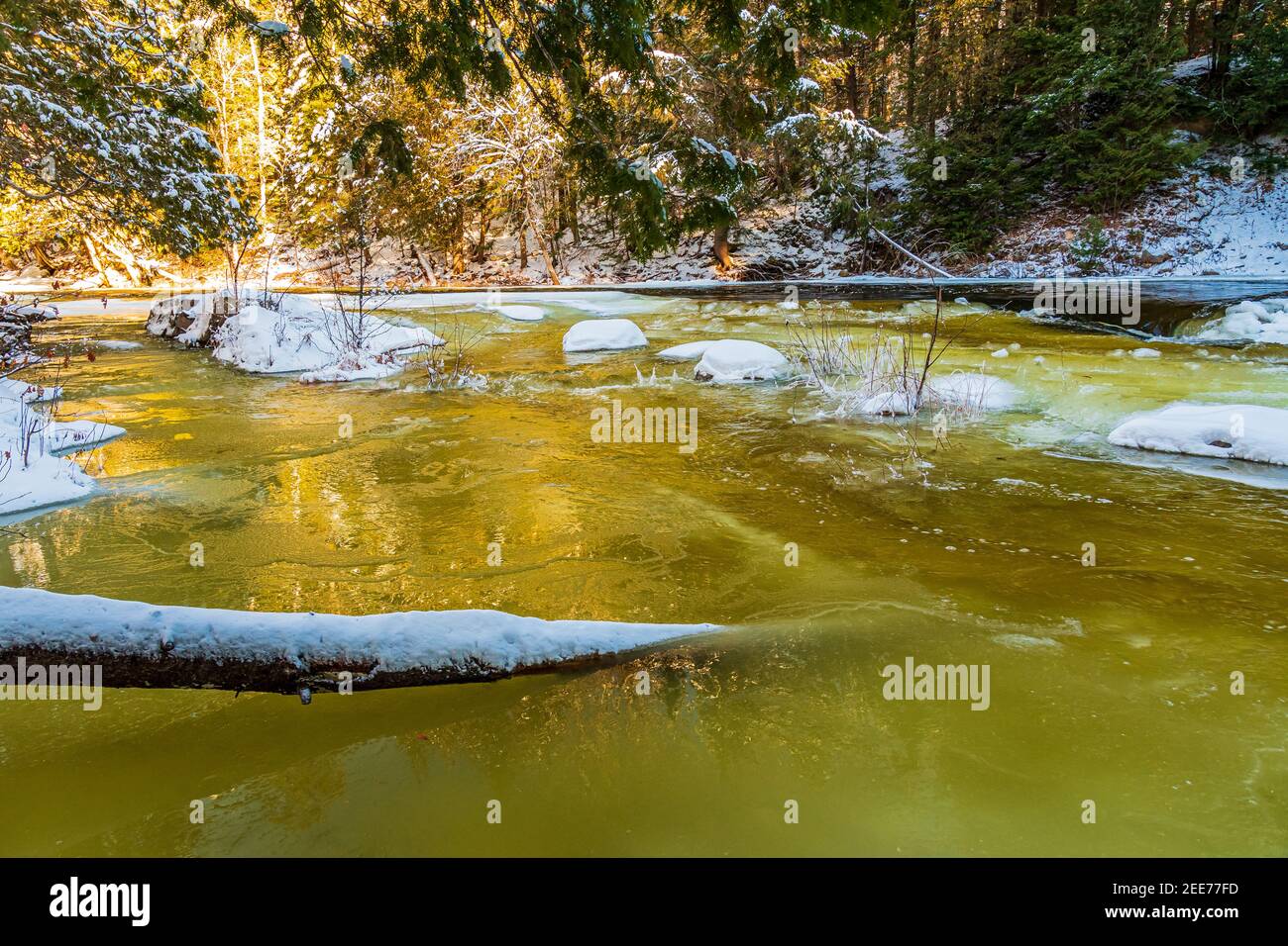 The Gut Conservation Area Crowe Valley Apsley Ontario Canada in winter