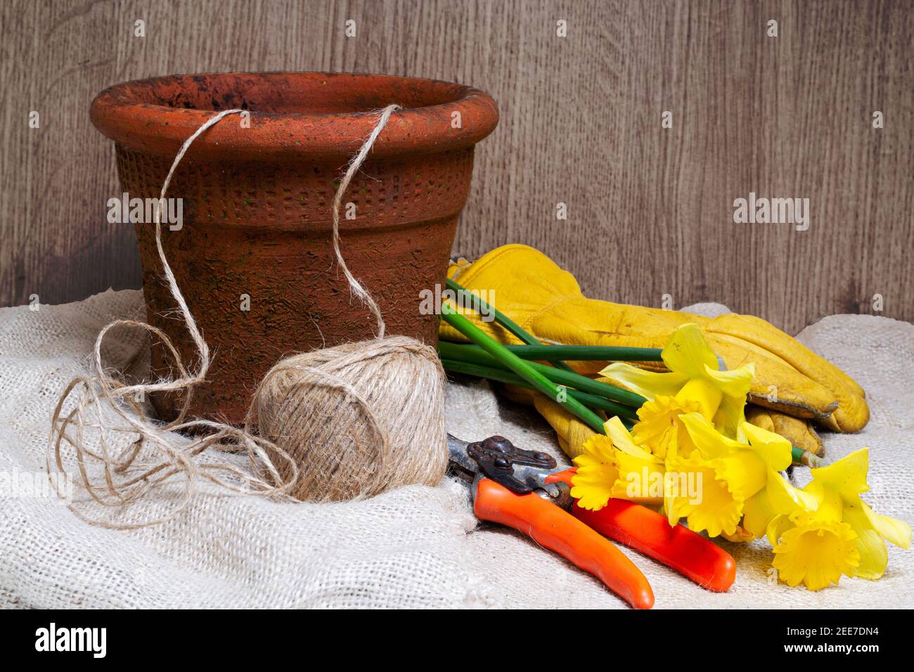 Gardening implement, getting ready for spring, still life Stock Photo ...