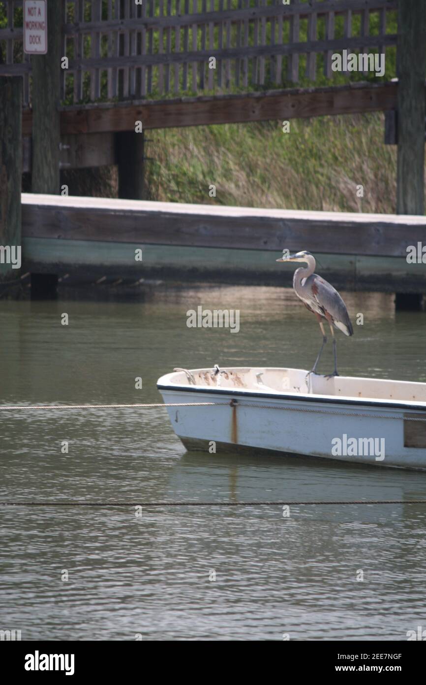 Alabama coast travel hi-res stock photography and images - Alamy