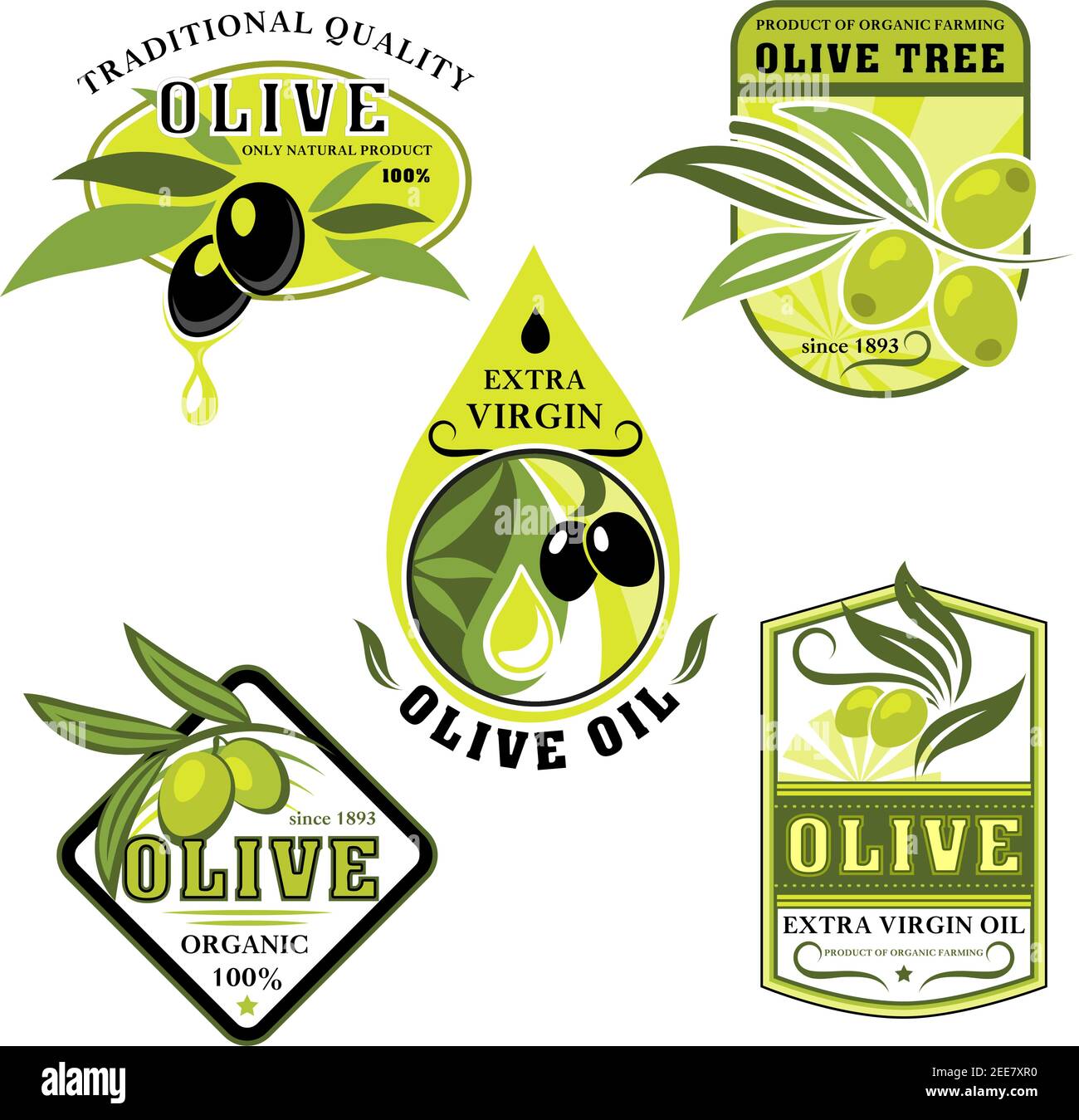 Olive oil product vector icons. Isolated set of Italian olives symbols