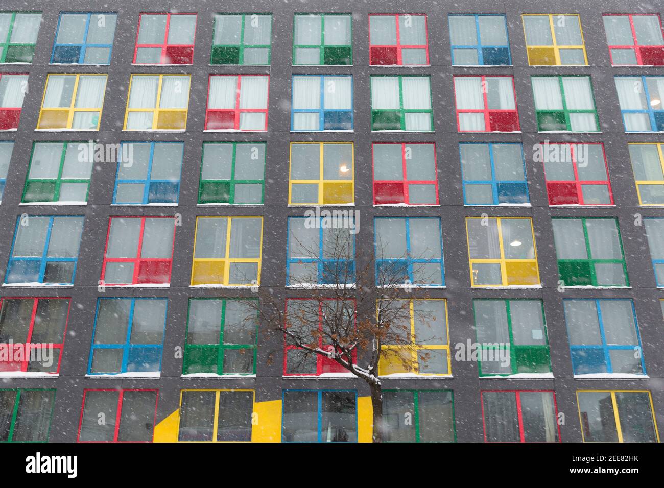 Building with Colored Windows, Snow and Tree Stock Photo