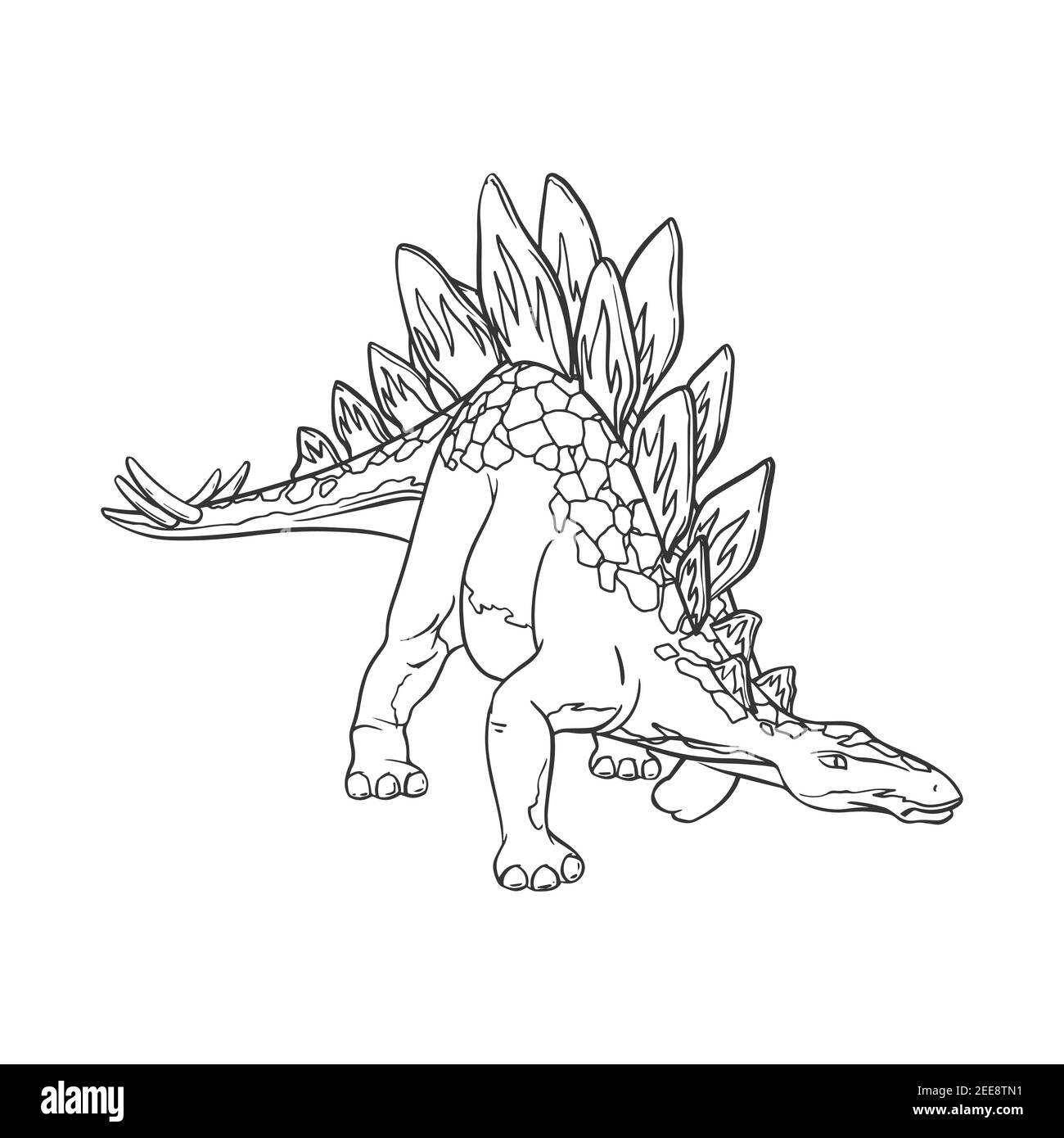 Stegosaurus Coloring Page