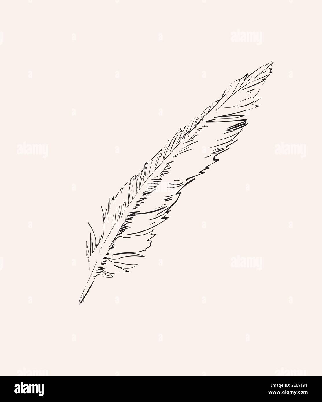 Hand Drawn Feather Isolated Illustration Element on white background. Stock Vector