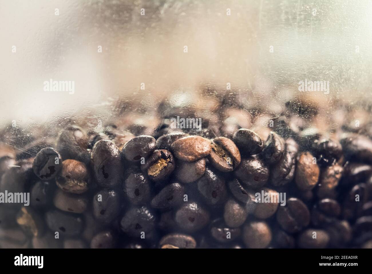 Roasted black coffee beans in grinder machine Stock Photo Alamy