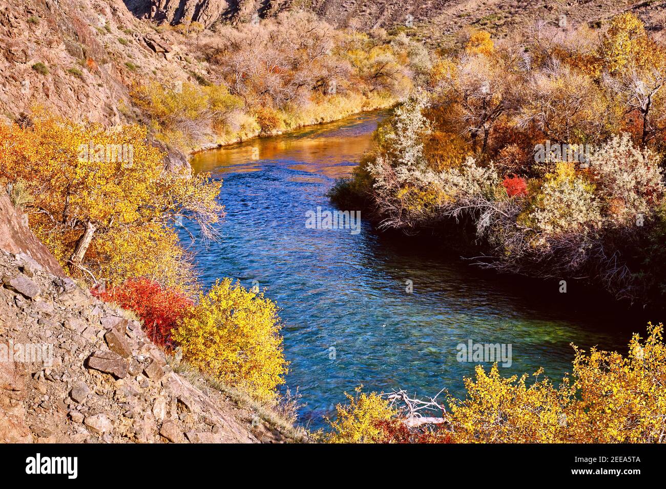 Clear water of rich blue hues surrounded by autumn forest; Charyn river in autumn season Stock Photo