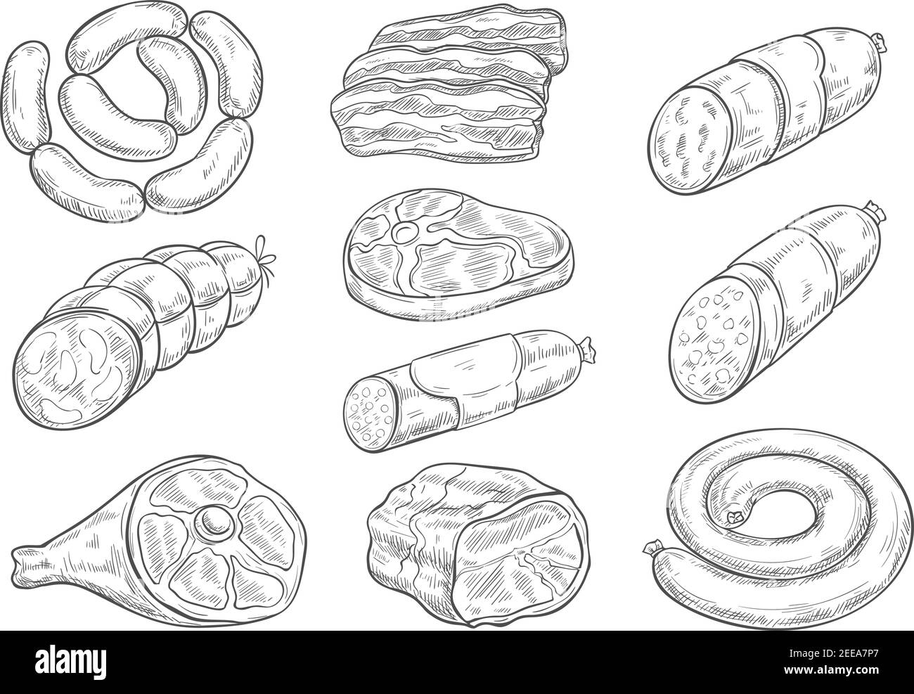 Meat products and butchery delicatessen vector sketches. Isolated bacon brisket, frankfurter or saveloy sausages, cervelat and pork lard, salami and s Stock Vector