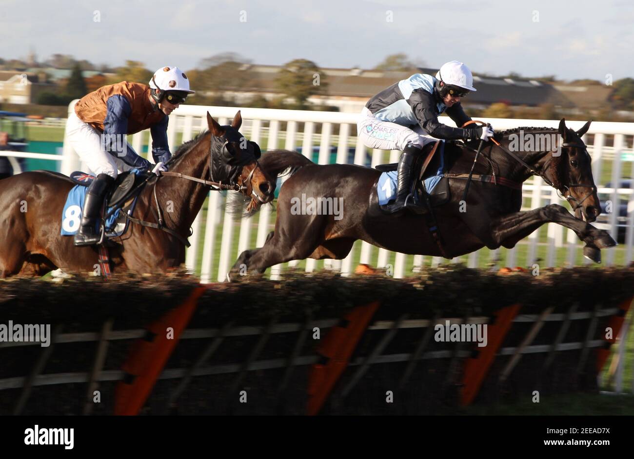 16+ Todays horse racing results wetherby best tips 
