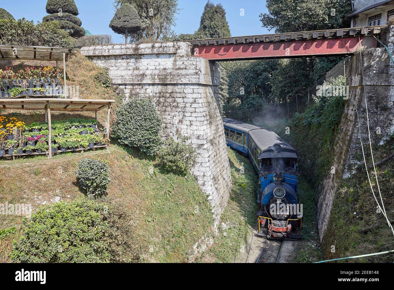 Old steam locomotive hauls a train around the Batasia Loop between Ghum (Ghoom) and Darjeeling on the Darjeeling Himalayan Railway, India.   The steam Stock Photo