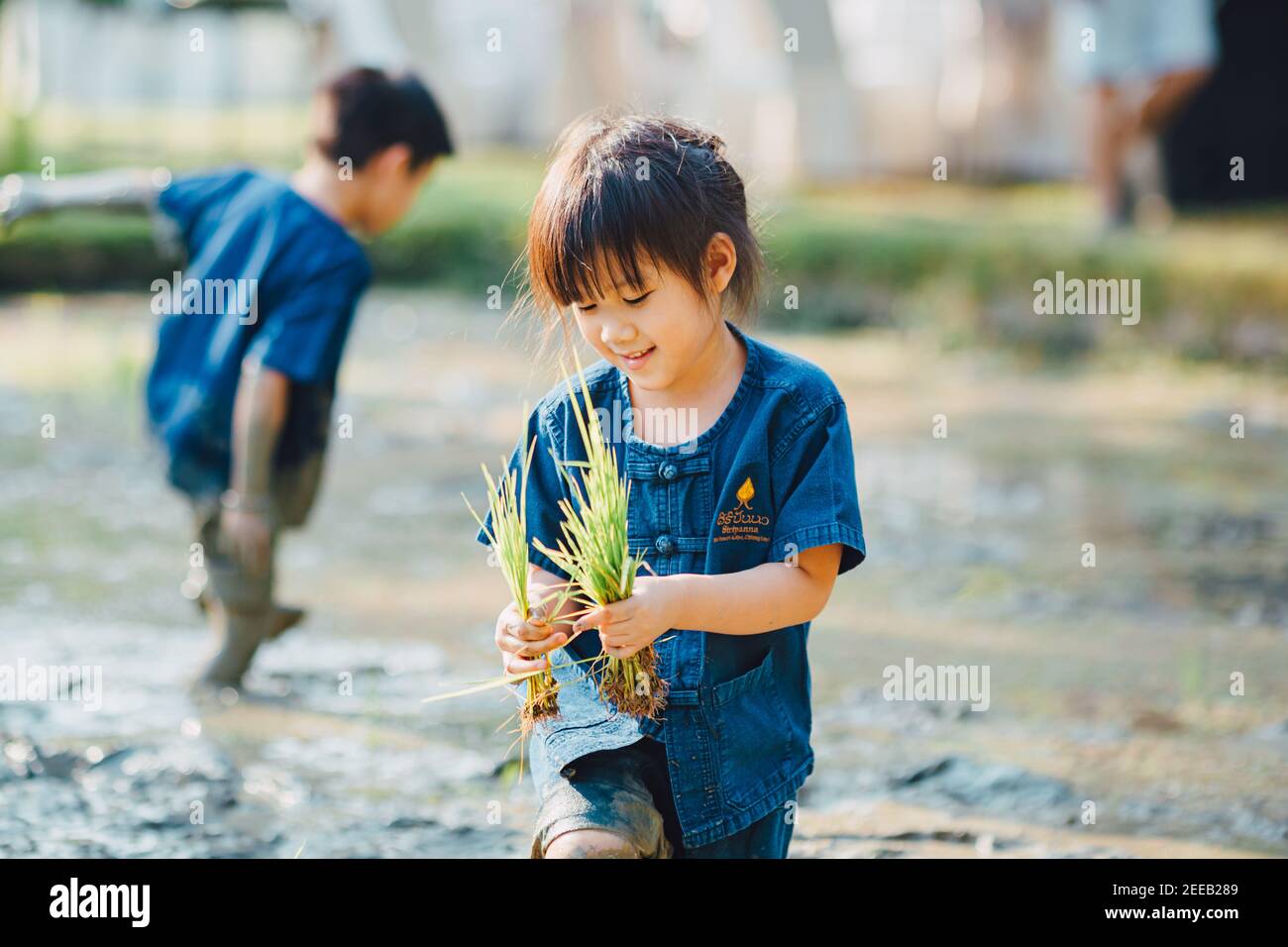 Little children play and exploring in the garden with thier planting sprout. Concept for eco friendly gardening and sustainable living. Stock Photo