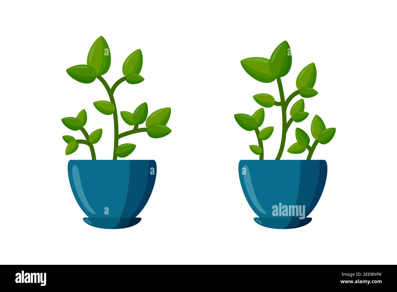 Potted plants set. Green plant in cartoon style. Vector illustration