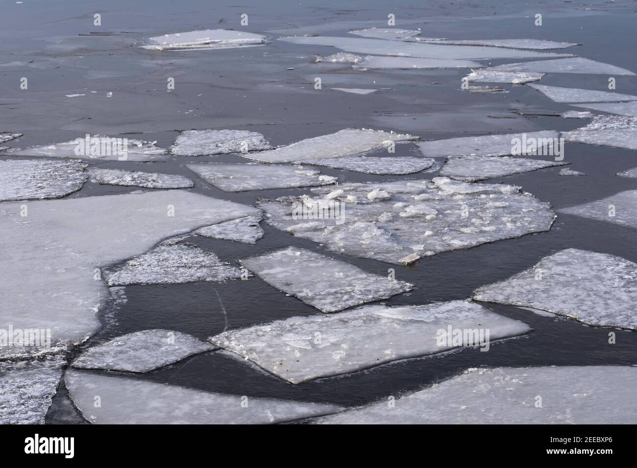 Sheet of floating ice hires stock photography and images Alamy