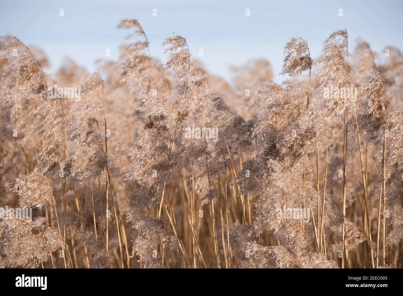 Fragile balance hi-res stock photography and images - Alamy