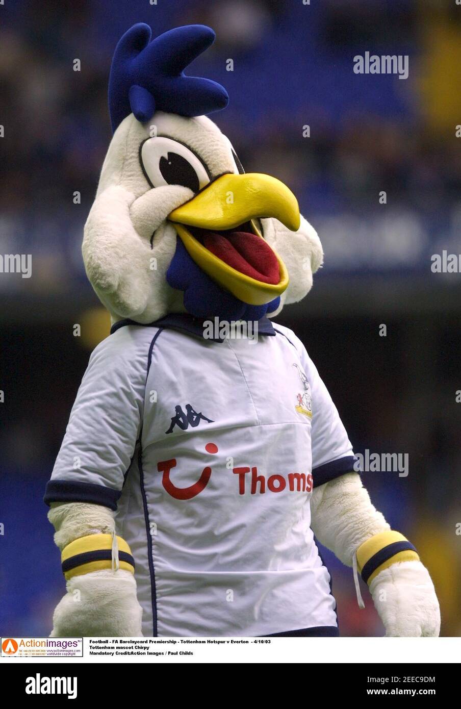Tottenham Hotspur Mascot High Resolution Stock Photography and Images